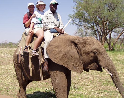 Foto jzda na slonovi